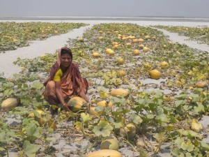 LIGHT-ENGINEERING SECTOR: